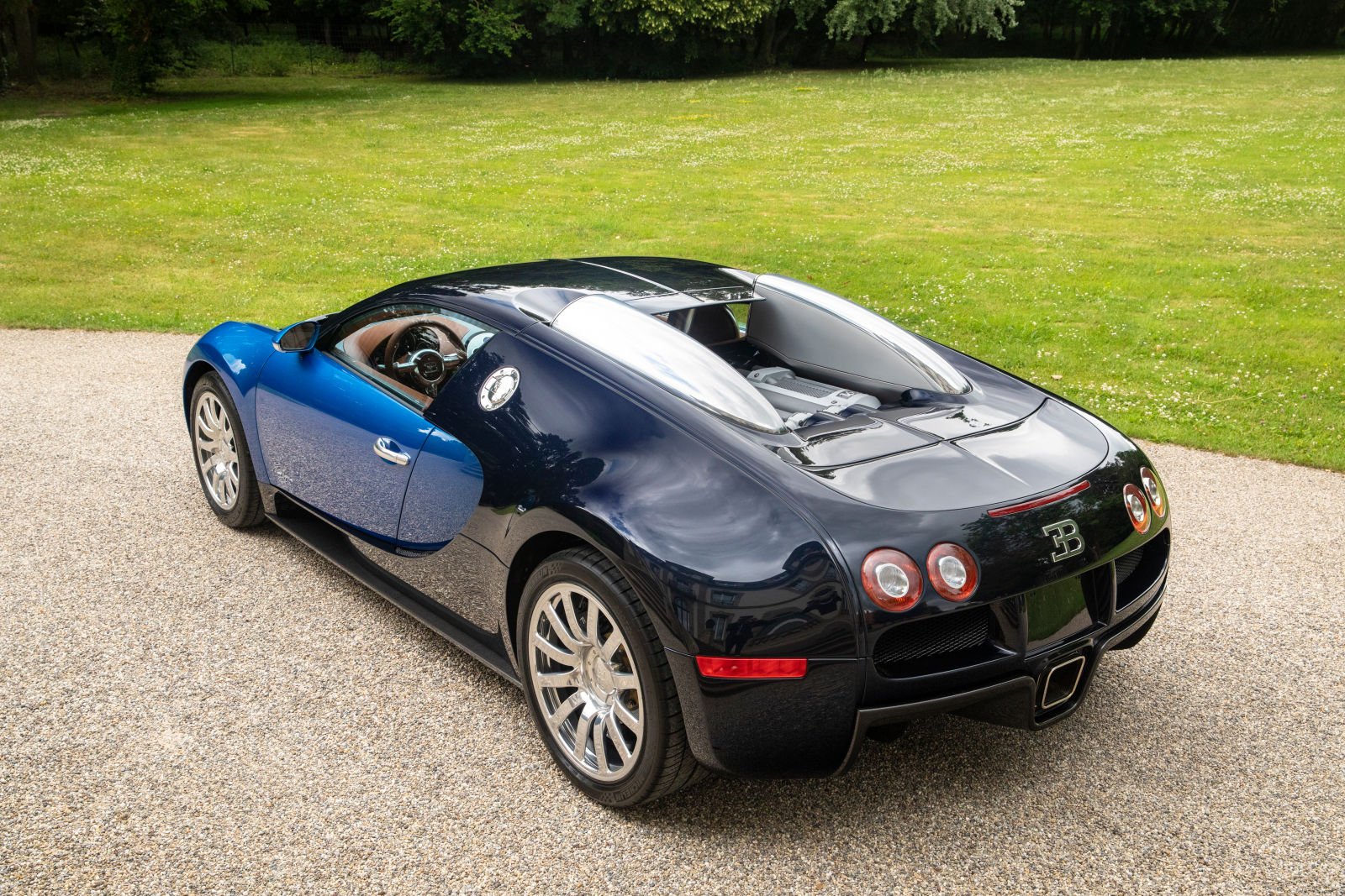 FROM DREAM TO REALITY – VEYRON SIBLINGS TRANSFORMED © Copyright PLPG GLOBAL MEDIA 2023