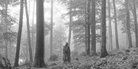 Taylor Swift Folklore cover album
