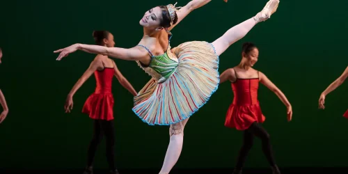 MISA KURANAGA PRINCIPAL DANCER © Copyright PLPG GLOBAL MEDIA 2023